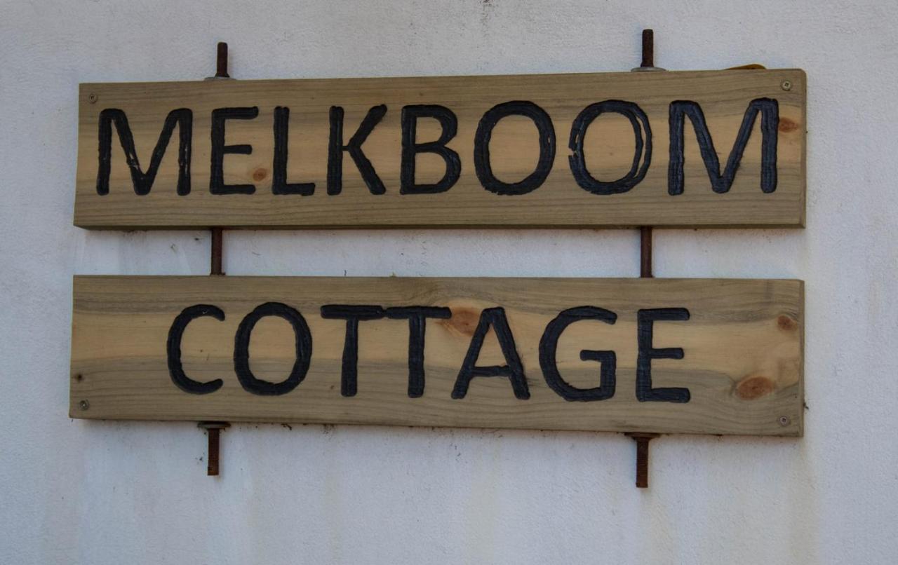 فيلا Melkboom Franskraalstrand المظهر الخارجي الصورة